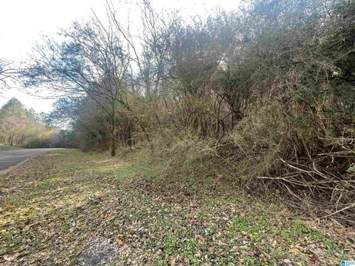 4380-4380 Cherry Ave, GRAYSVILLE, AL, 35073-9613 | Card Image