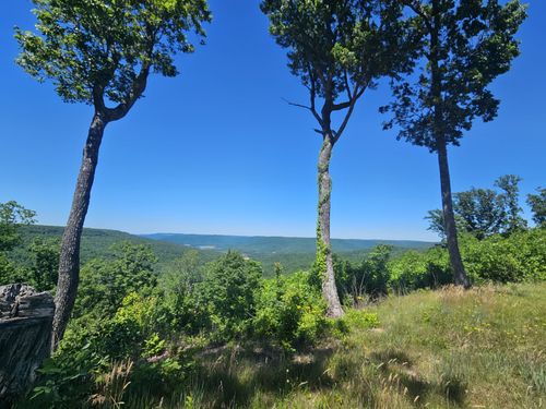 309 Blackberry Rd, Beersheba Springs, TN, 37305 | Card Image