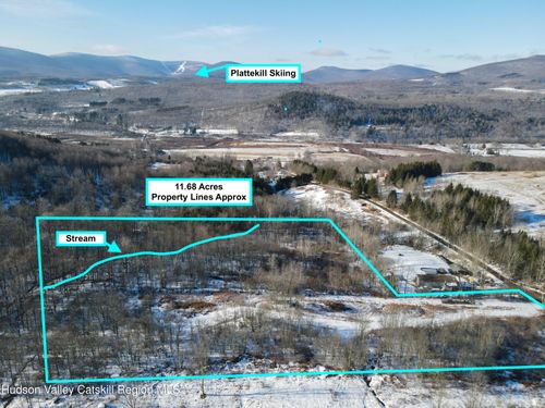 480 Hall Road, Roxbury, NY, 12474 | Card Image