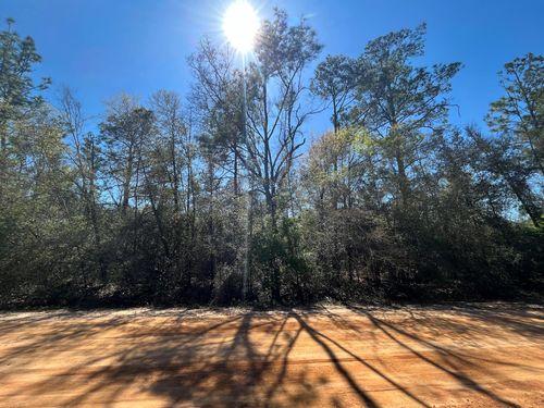 Tbd Rossville Ave, ALFORD, FL, 32420 | Card Image