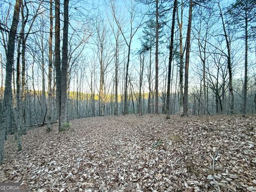 128 Adair Dr Ne, Ranger, GA, 30734-7764 | Card Image