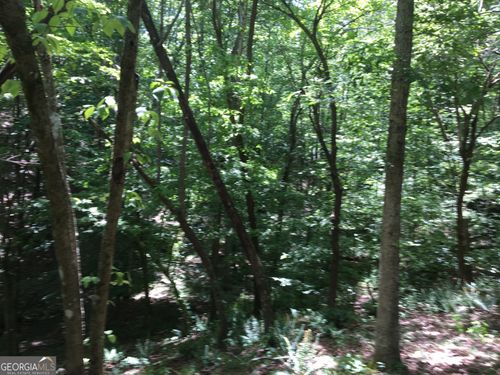 0 Damascus Rd, Ball Ground, GA, 30107 | Card Image