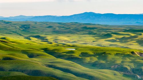 8050 Bitterwater Rd, Shandon, CA, 93461-9624 | Card Image