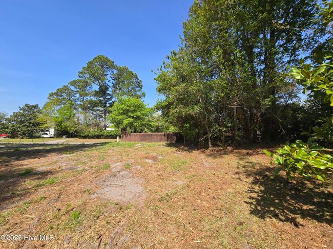 1254 Shenandoah St, Home with 0 bedrooms, 0 bathrooms and null parking in Wilmington NC | Image 24