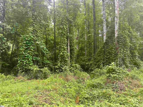 00 Dacusville Rd, Marietta, SC, 29661 | Card Image
