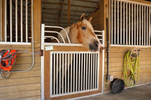 2141 B Rd, Loxahatchee Groves, FL, 33470-4261 | Card Image