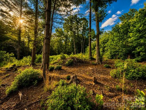 46-201 Cross Creek North Ridge Drive, Marion, NC, 28752 | Card Image