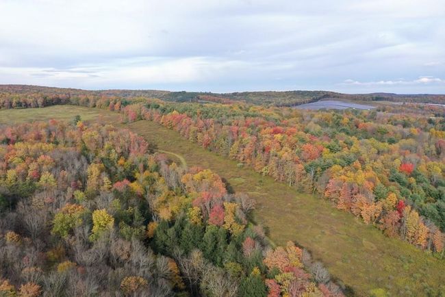 0 Gee St, Home with 0 bedrooms, 0 bathrooms and null parking in Van Etten NY | Image 7