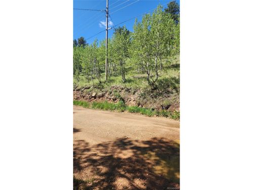 267 Ward St, Bailey, CO, 80421-1453 | Card Image