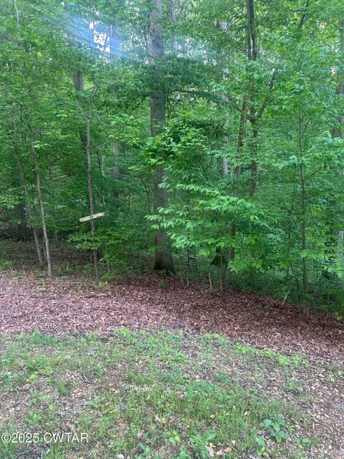 0 Cedar Ln, Sugar Tree, TN, 38380 | Card Image