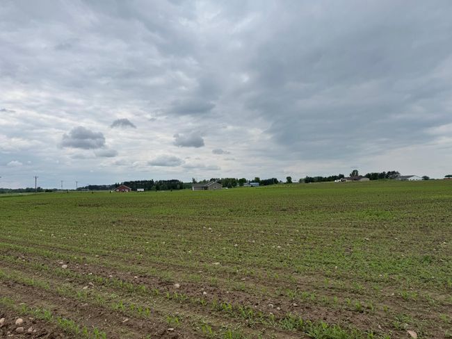 1 230 Th Ave, Home with 0 bedrooms, 0 bathrooms and null parking in Mora MN | Image 4