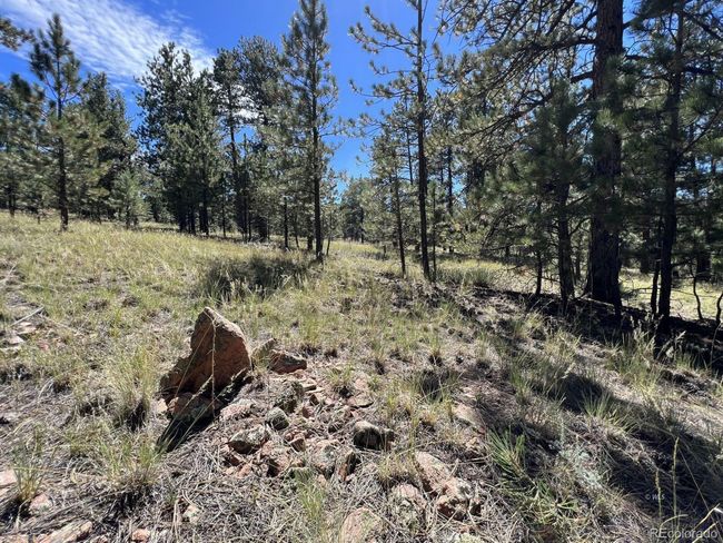 82 Kiowa Cir, Home with 0 bedrooms, 0 bathrooms and null parking in Westcliffe CO | Image 7