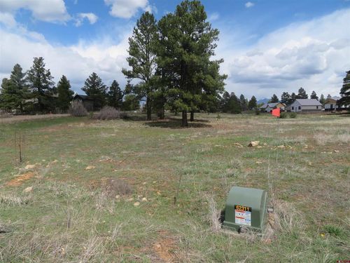 317 Domicile Cir, Pagosa Springs, CO, 81147-1003 | Card Image