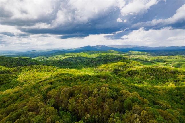 91 - 43 Old Burnt Mountain Rd, Home with 0 bedrooms, 0 bathrooms and null parking in Ellijay GA | Image 10