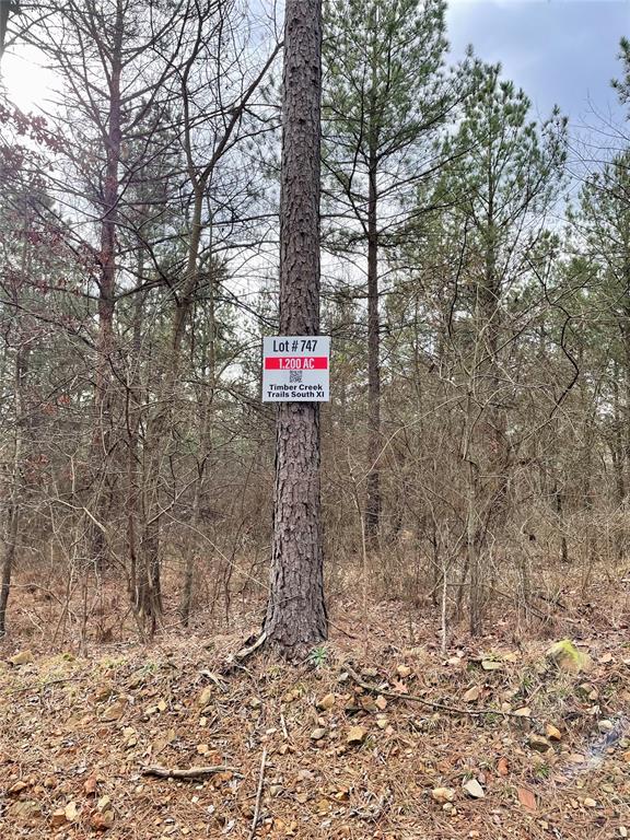 Land in Broken Bow 3