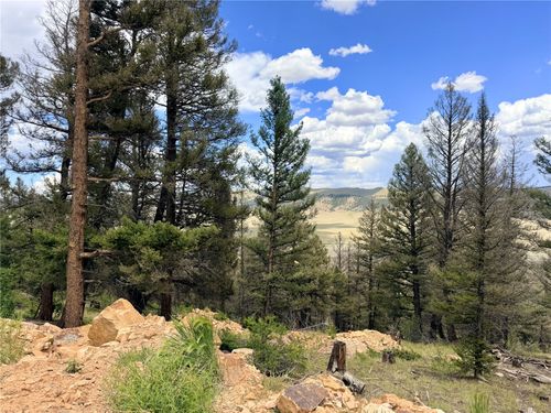 1396 Middle Fork Vis, Fairplay, CO, 80440-4040 | Card Image