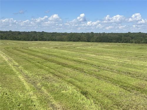 31201 Nelson Rd, Drexel, MO, 64742-9231 | Card Image