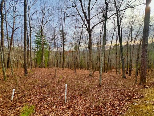 208 Harris Ridge Drive, Ellijay, GA, 30540 | Card Image