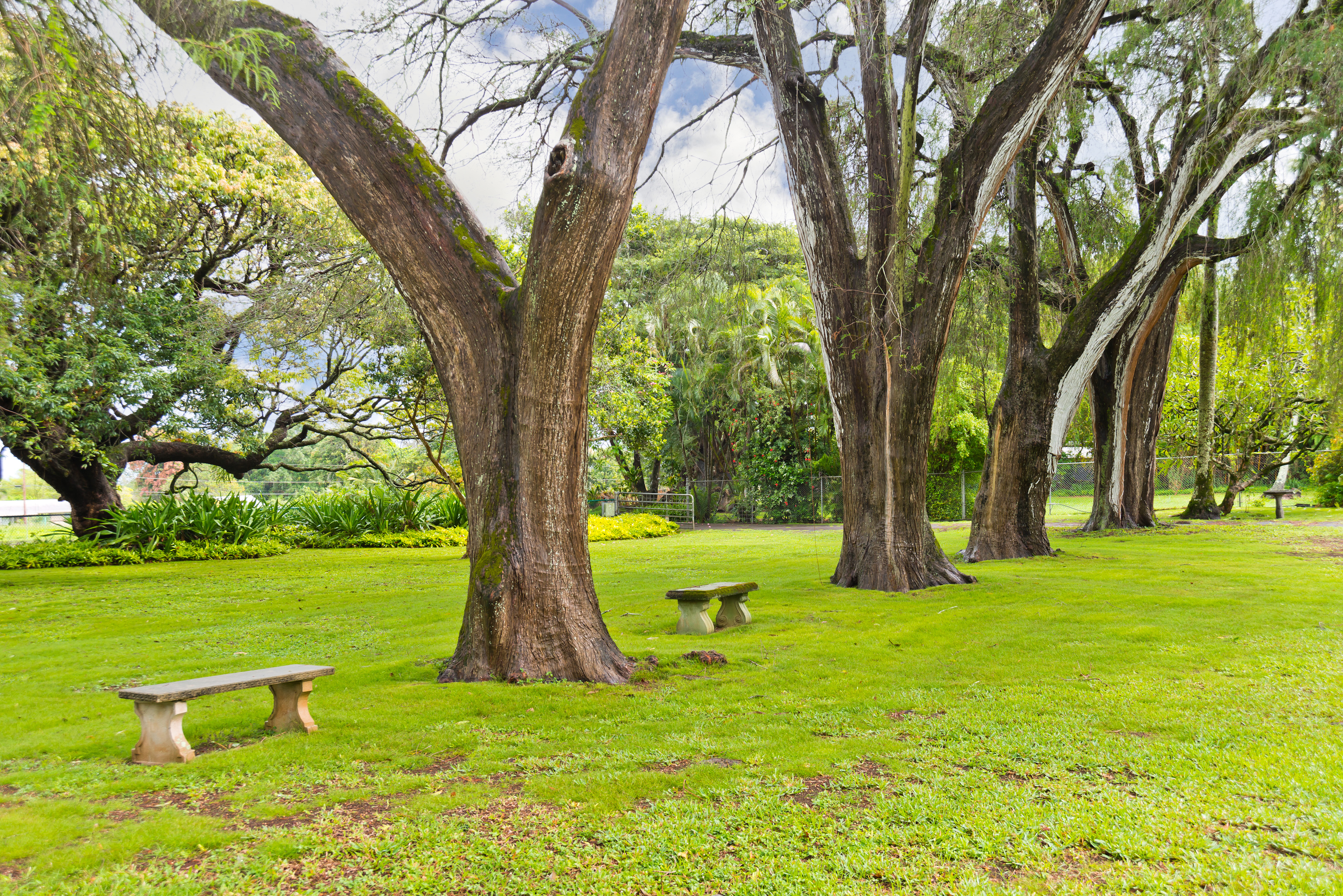 Residential in Kapaau 4