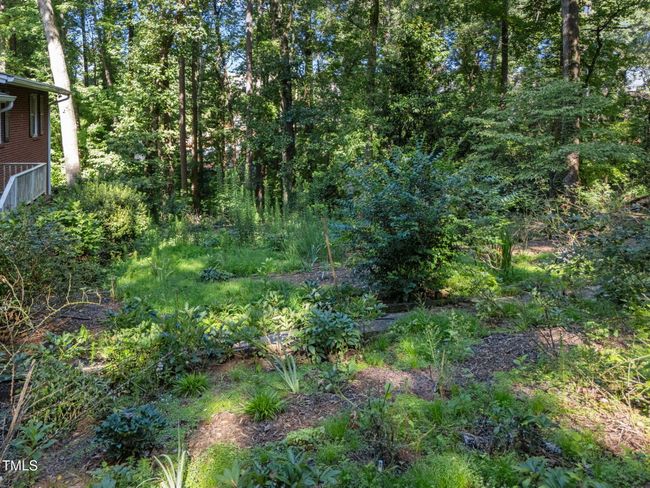 11-web-or-mls-DJI_20250718092716_0113_D | Image 12