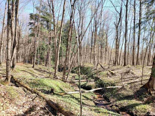 TBD N Firesteel Road, Greenland, MI, 49929 | Card Image