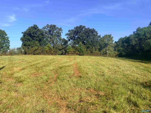 Lot 31 County Road 158, Centre, AL, 35960 | Card Image