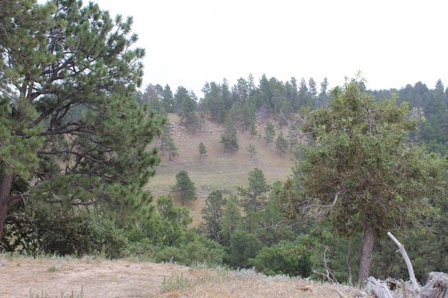 371 New Haven Rd, Home with 0 bedrooms, 0 bathrooms and null parking in Hulett WY | Image 28
