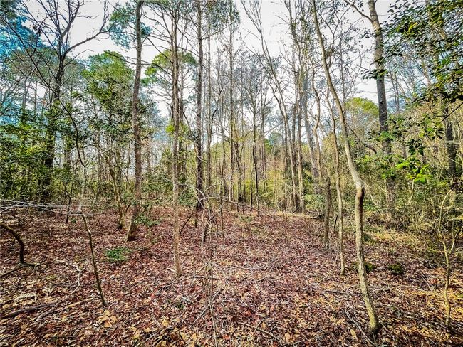 00 New Bridge Rd, Home with 0 bedrooms, 0 bathrooms and null parking in Mc Coll SC | Image 21