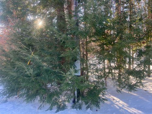 TBD Sodom Road, Norway, ME, 04268 | Card Image