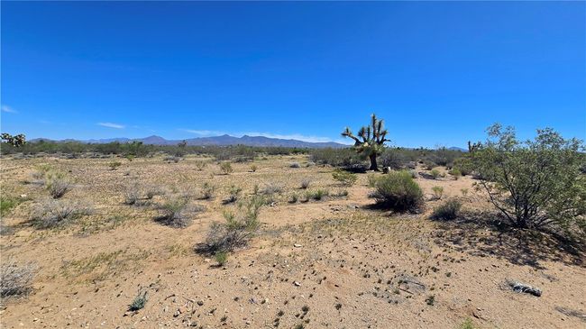 View | Image 42