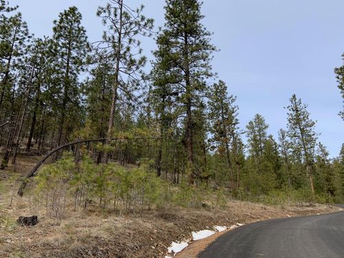 Wapiti 3 Bob White Ln, Davenport, WA, 99122 | Card Image