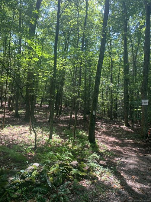 Lot 2 Chalybes Rd W, Roxbury, CT, 06783-1415 | Card Image
