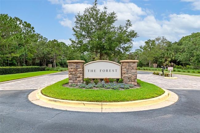 The Forest at Hi-Hat Ranch a Gated Community | Image 67