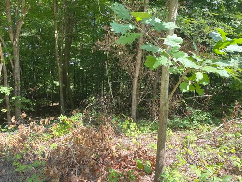 2184-2266 S 150000 E Road, Pembroke Twp, IL, 60958 | Card Image