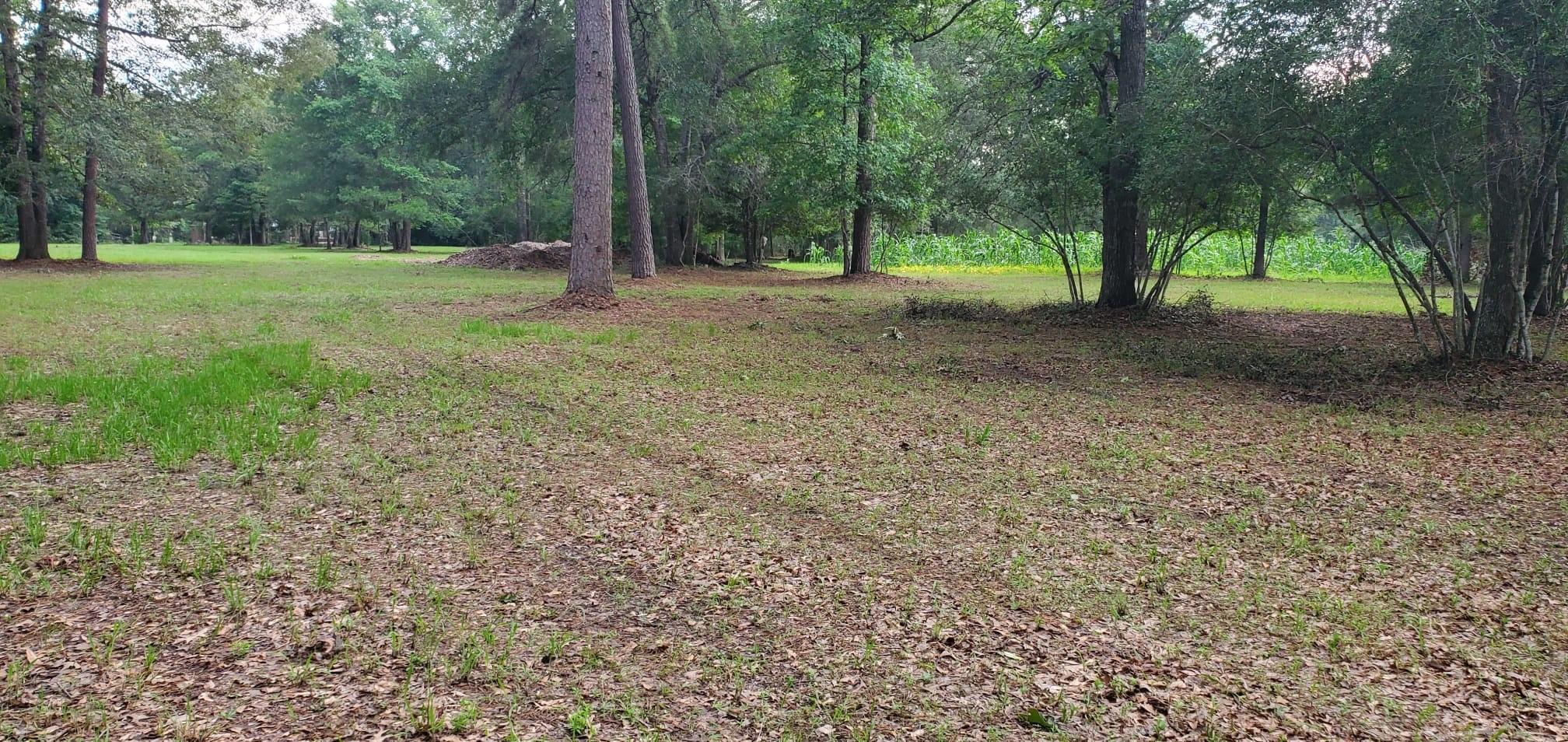 Land in Conroe 4