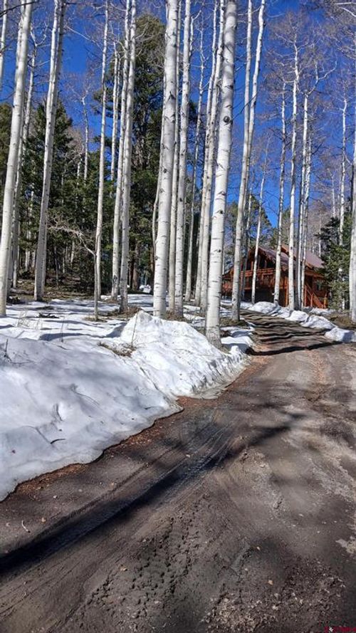 591 Crest Dr, Cimarron, CO, 81220-9504 | Card Image