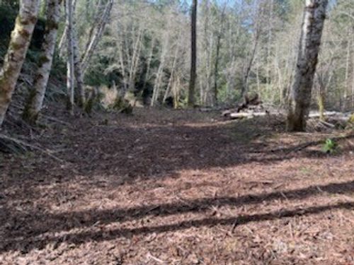 61 E Woods Pl, Belfair, WA, 98528-9552 | Card Image