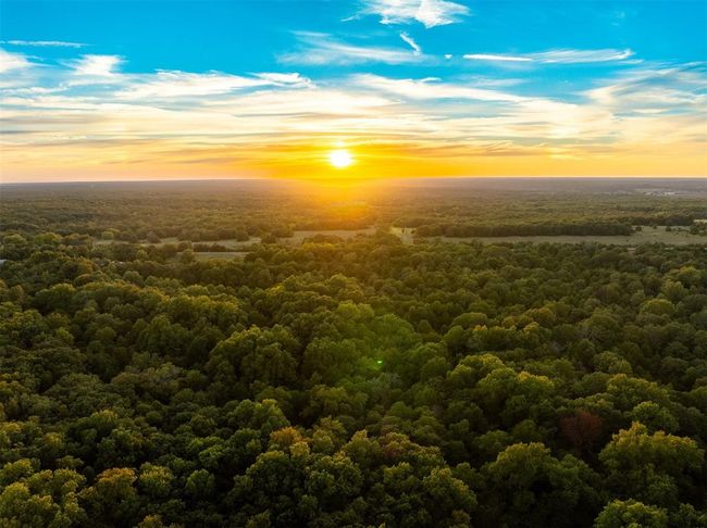 Aerial view at dusk featuring a view of trees | Image 10