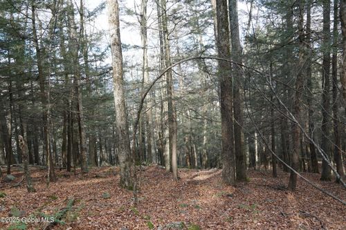Lot On Mount Eden Estates Road, Lexington, NY, 12452 | Card Image