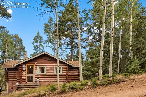 159 Skyline Ln, Woodland Park, CO, 80863 | Card Image
