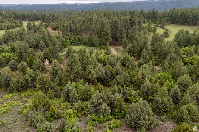 Bird's eye view of a forest | Image 8