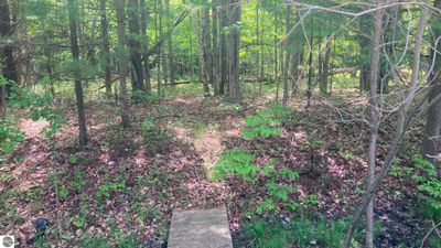 Lot 6 Trosko Road, Home with 0 bedrooms, 0 bathrooms and null parking in Kalkaska MI | Image 3