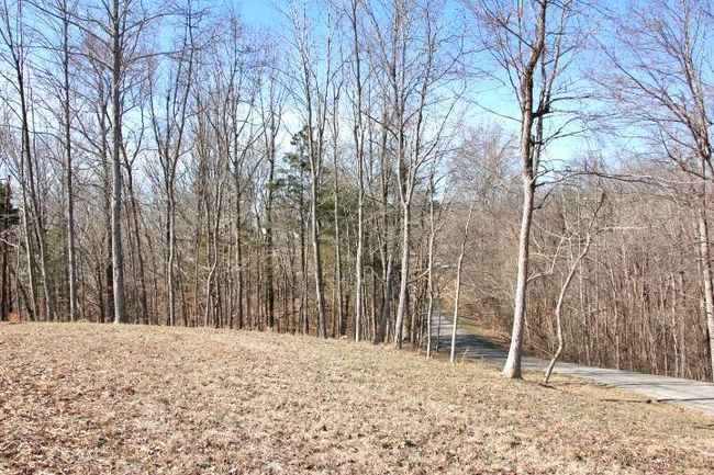 Lots 26 &amp; 27 Cherokee Road, Home with 0 bedrooms, 0 bathrooms and null parking in Lucas KY | Image 12