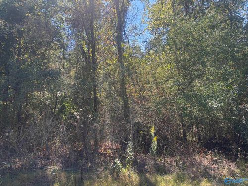 29 Iris Ln, Bridgeport, AL, 35740-6709 | Card Image