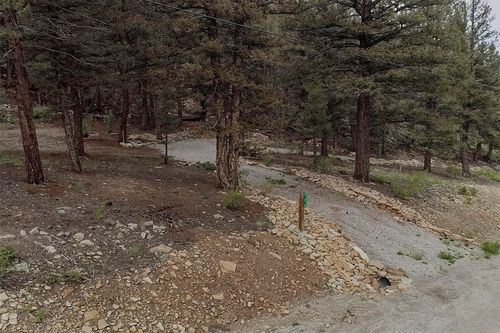 225 Trout Creek Ln, FAIRPLAY, CO, 80440 | Card Image