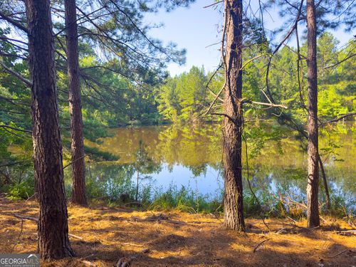 0 Settlement Rd, register, GA, 30452 | Card Image