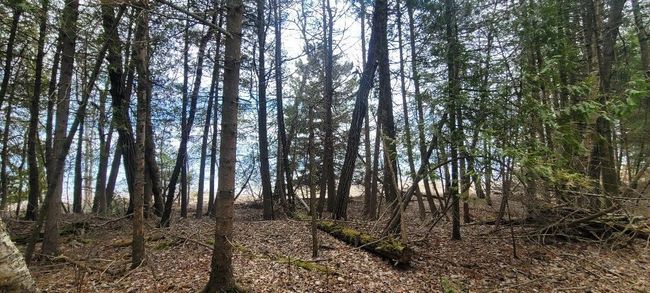 Lt0 E State Highway M35, Home with 0 bedrooms, 0 bathrooms and null parking in INGALLSTON MI | Image 18