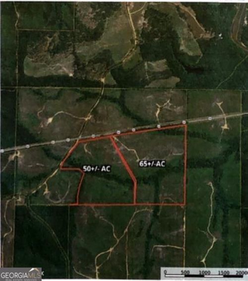 0 Hwy 80, BUTLER, GA, 31006 | Card Image