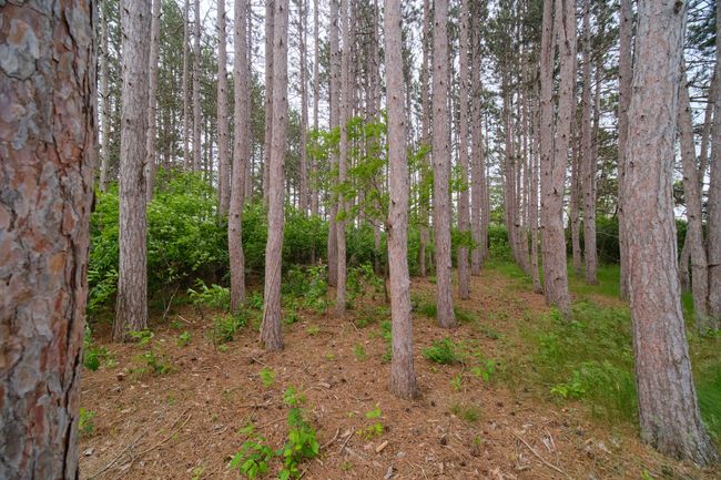 3750 River Rd, House other with 3 bedrooms, 2 bathrooms and null parking in Manistee MI | Image 5