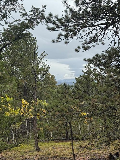 7935 County Road 51, Divide, CO, 80814-9272 | Card Image